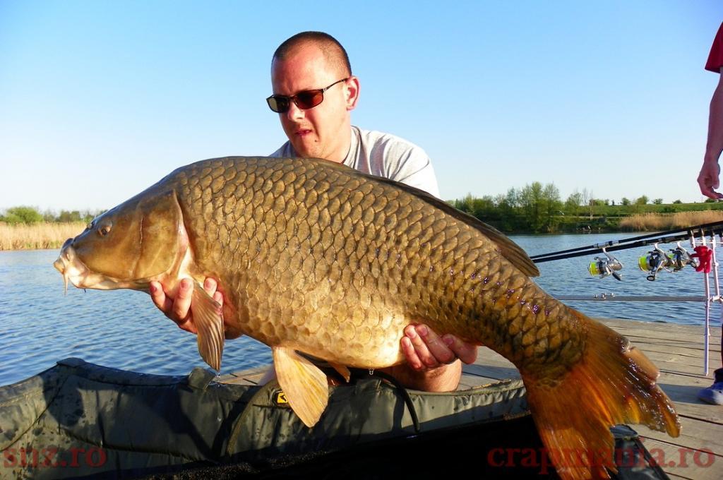 Trofeul tancabesti 2013 - 1010314.jpg